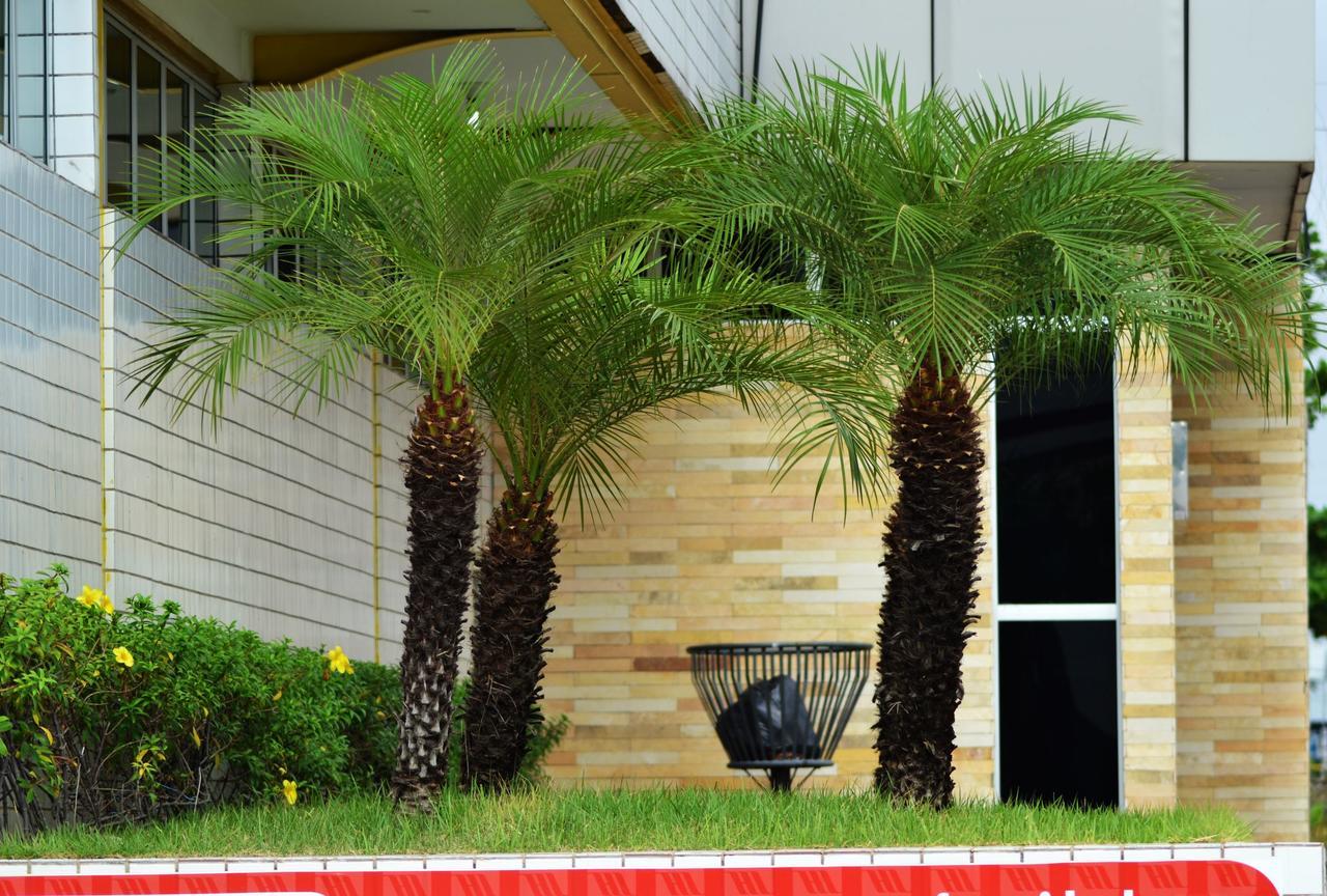 Hotel Ideal Teresina Exterior foto